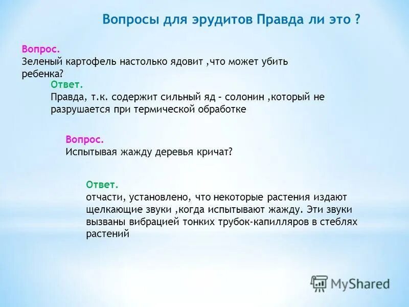 вопросы про зеленый. лес наше богатство для дошкольников. вопросы про зеленый.