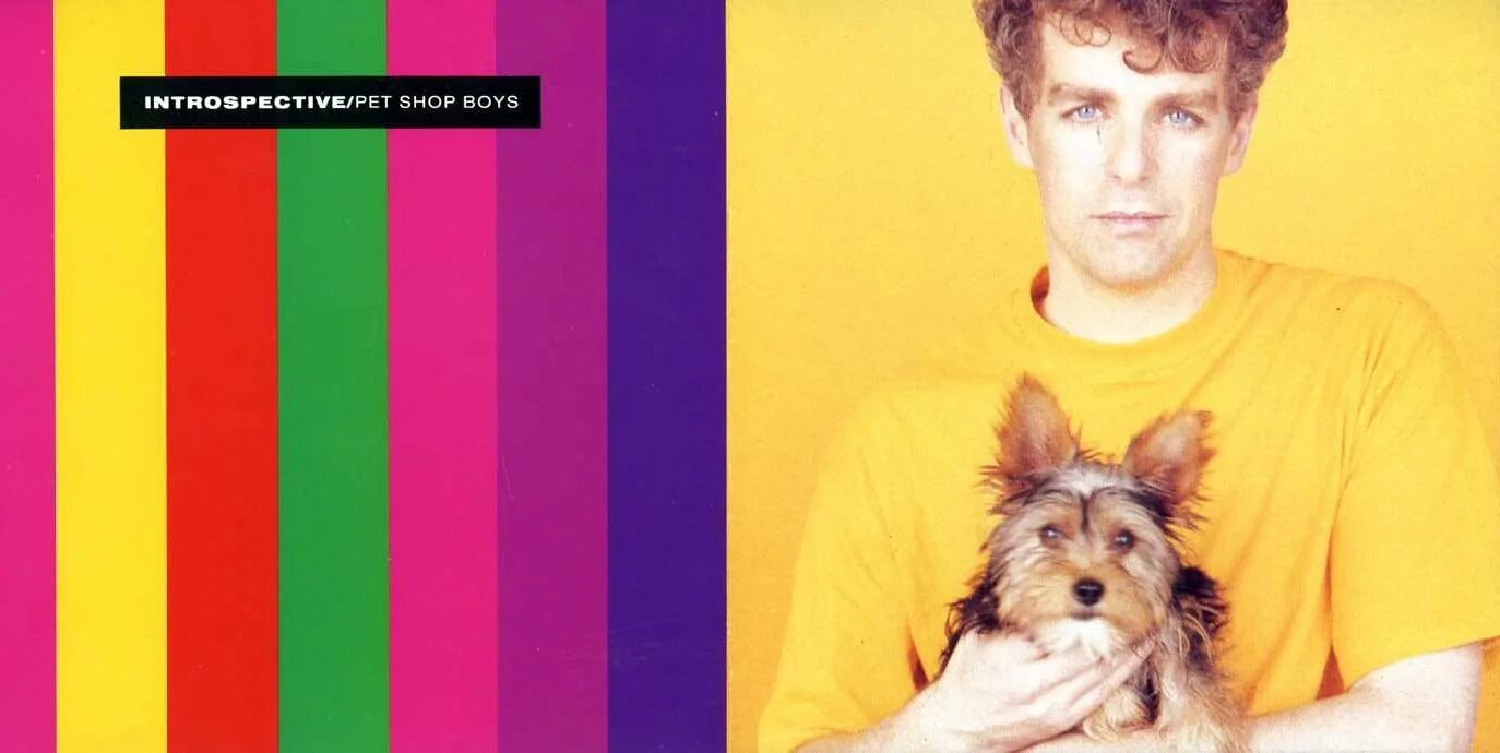 Pet shop boys my mind. Pet shop boys. Pet shop boys 2023. Pet shop boys Певцы. Pet shop boys фото.