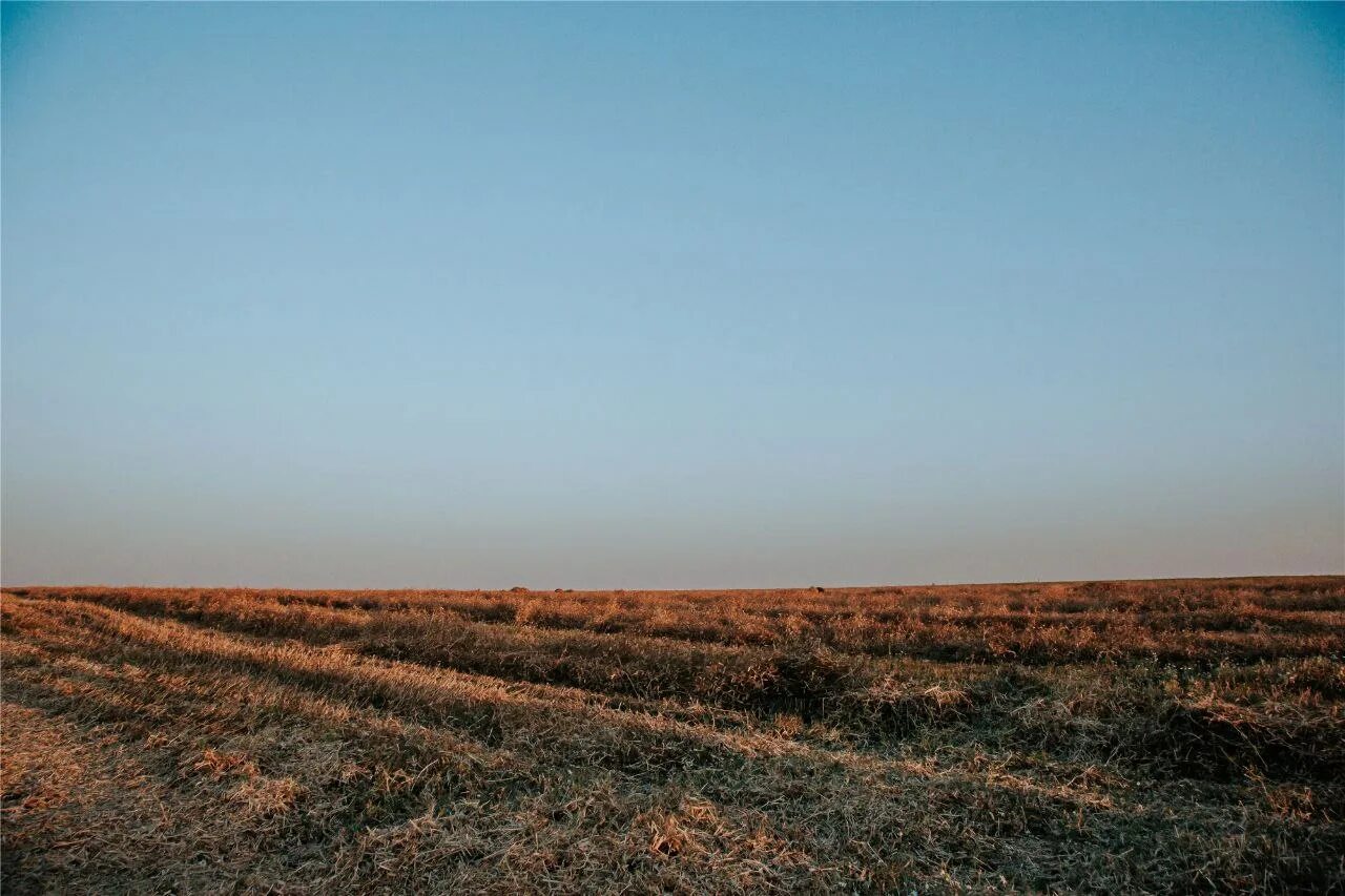 Атмосферная засуха. Засуха в Чувашской Республике 2022. Атмосферная засуха картинки.