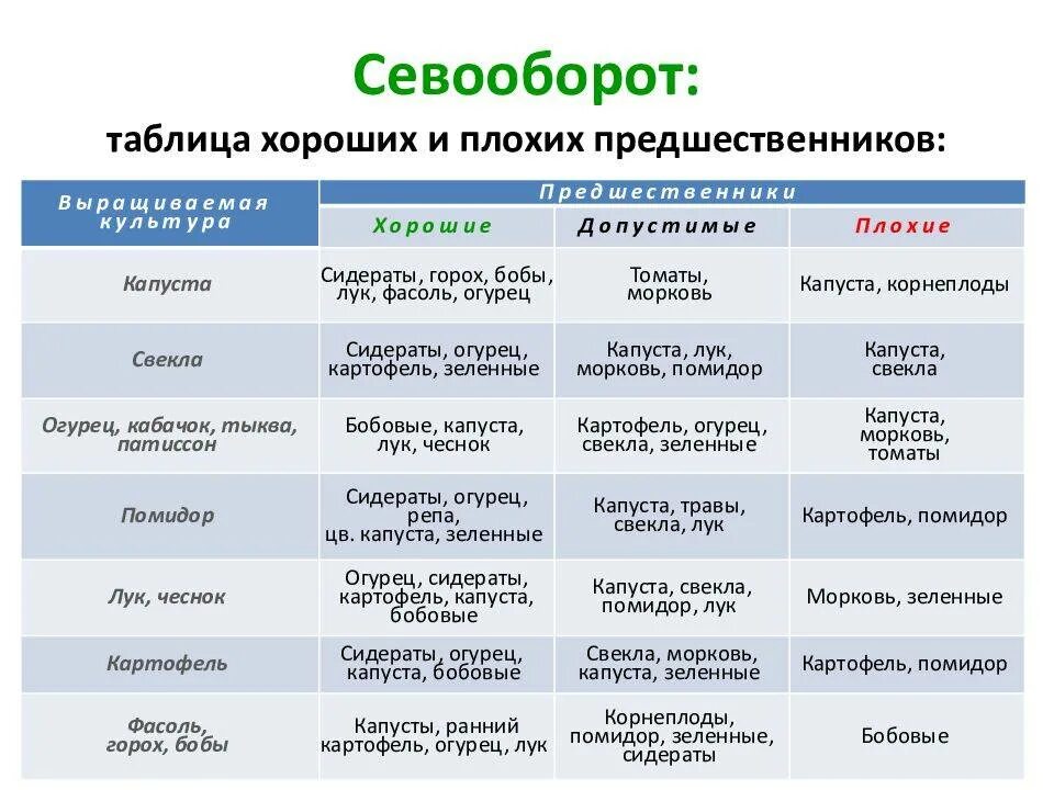 Что посадить после гороха