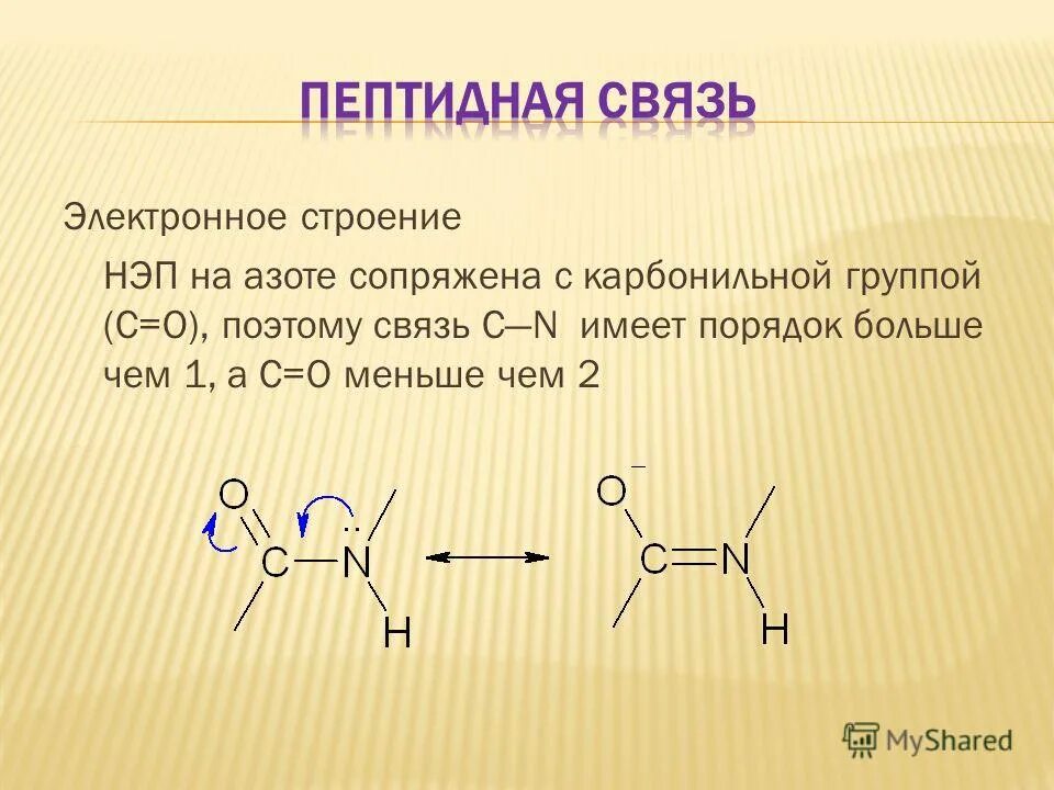 Аминокислоты аминогруппа карбоксильная группа. Электронное строение связей. Электронное и пространственное строение пептидной связи. Электронное строение двойной связи. Строение двойной связи.