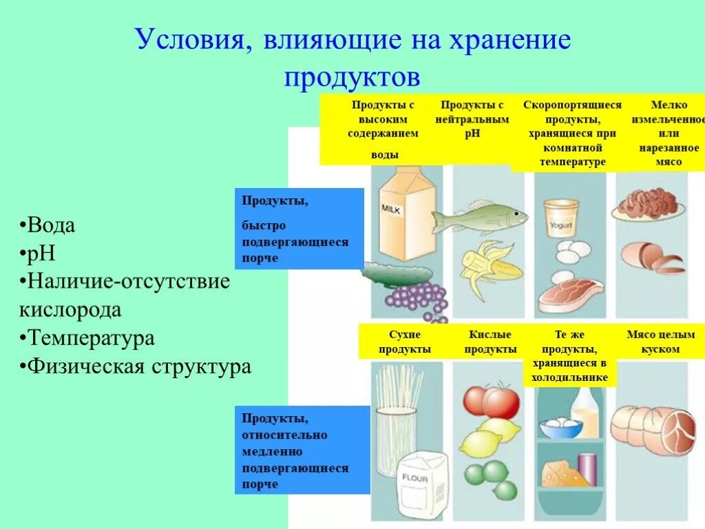 Как защитить продукты питания от бактерий. Хранение пищевых продуктов. Микробиология пищевых продуктов. Микробиология сырья и пищевых продуктов. Условия хранения пищевых продуктов.