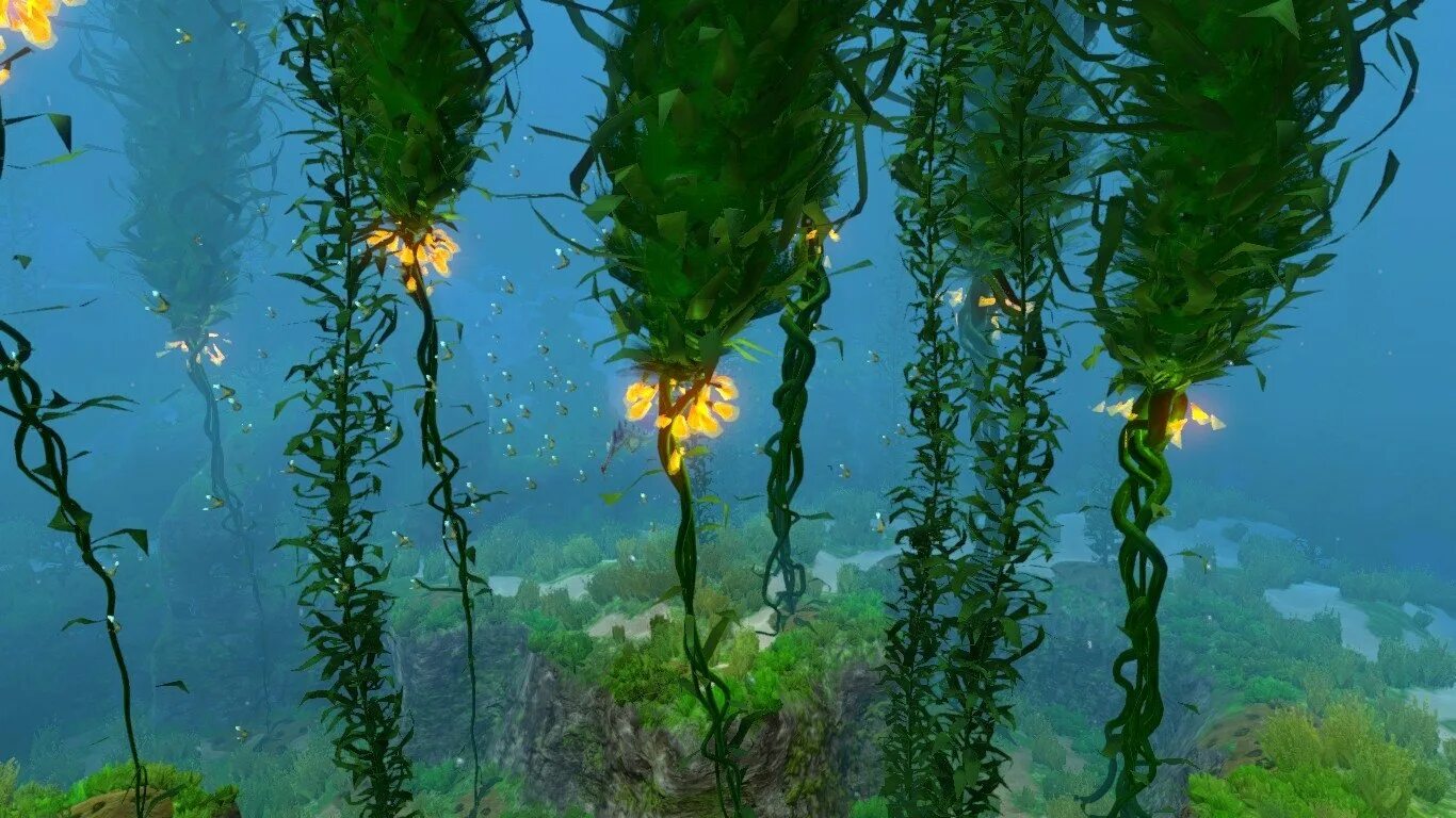 Все растения в воде водоросли. Subnautica лес водорослей. морские растения ламинария. настоящие водоросли (phycobionta). длинные водоросли.