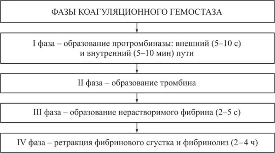 Последовательность процессов коагуляционного гемостаза. Последовательность процессов коагуляционного гемостаза