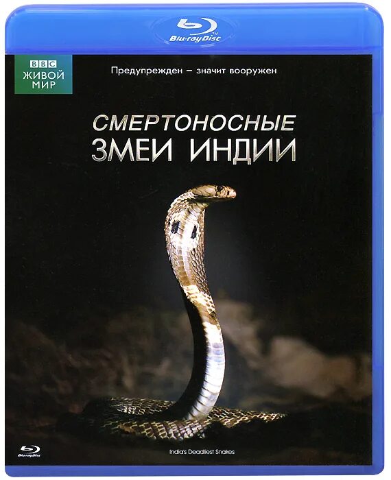 Ввс змеи. Ввс змеи. Змеи двд ввс. Змея dvd. Ввс змеи.