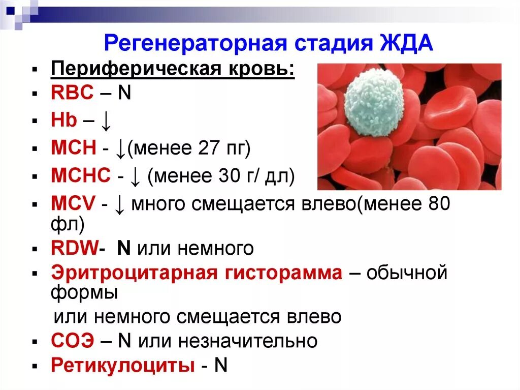 Анемия стул. Показатели при микроцитарной анемии. Морфология крови при железодефицитной анемии. Изменение эритроцитов при железодефицитной анемии. Лабораторные критерии железодефицитной анемии.