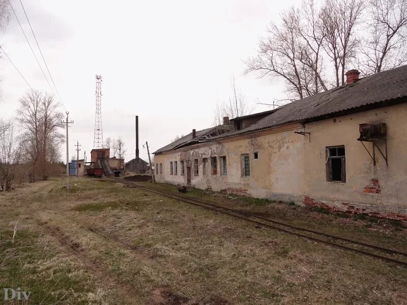 тесово-4,. тёсово 4 лужский район. погода тесово 4 на неделю. ул советская 2 тесово нетыльский. погода тесово 4 на неделю.