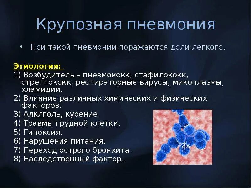 Микоплазма как передается. Возбудитель крупозной пневмонии. Пневмония презентация. Крупозная пневмония презентация. Пневмококковая крупозная пневмония.