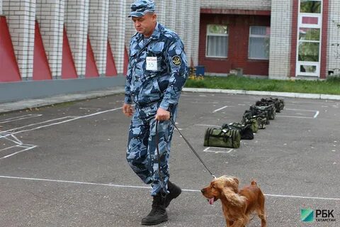 Кинолог нижний новгород