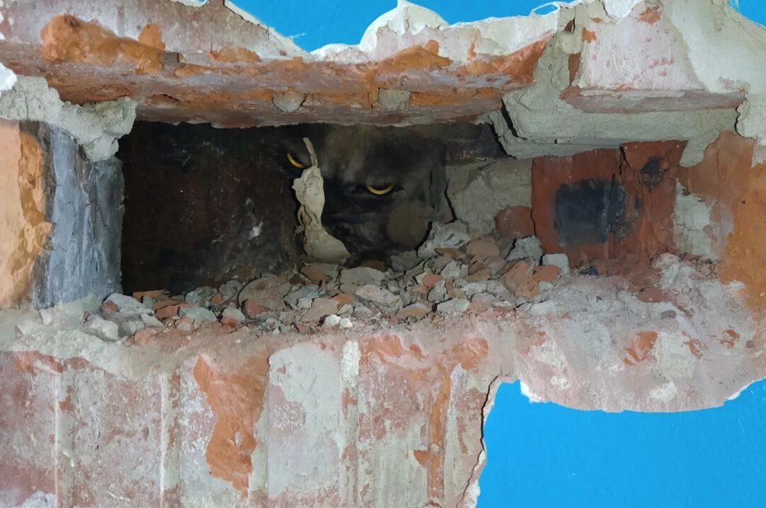 Аварийная ухта