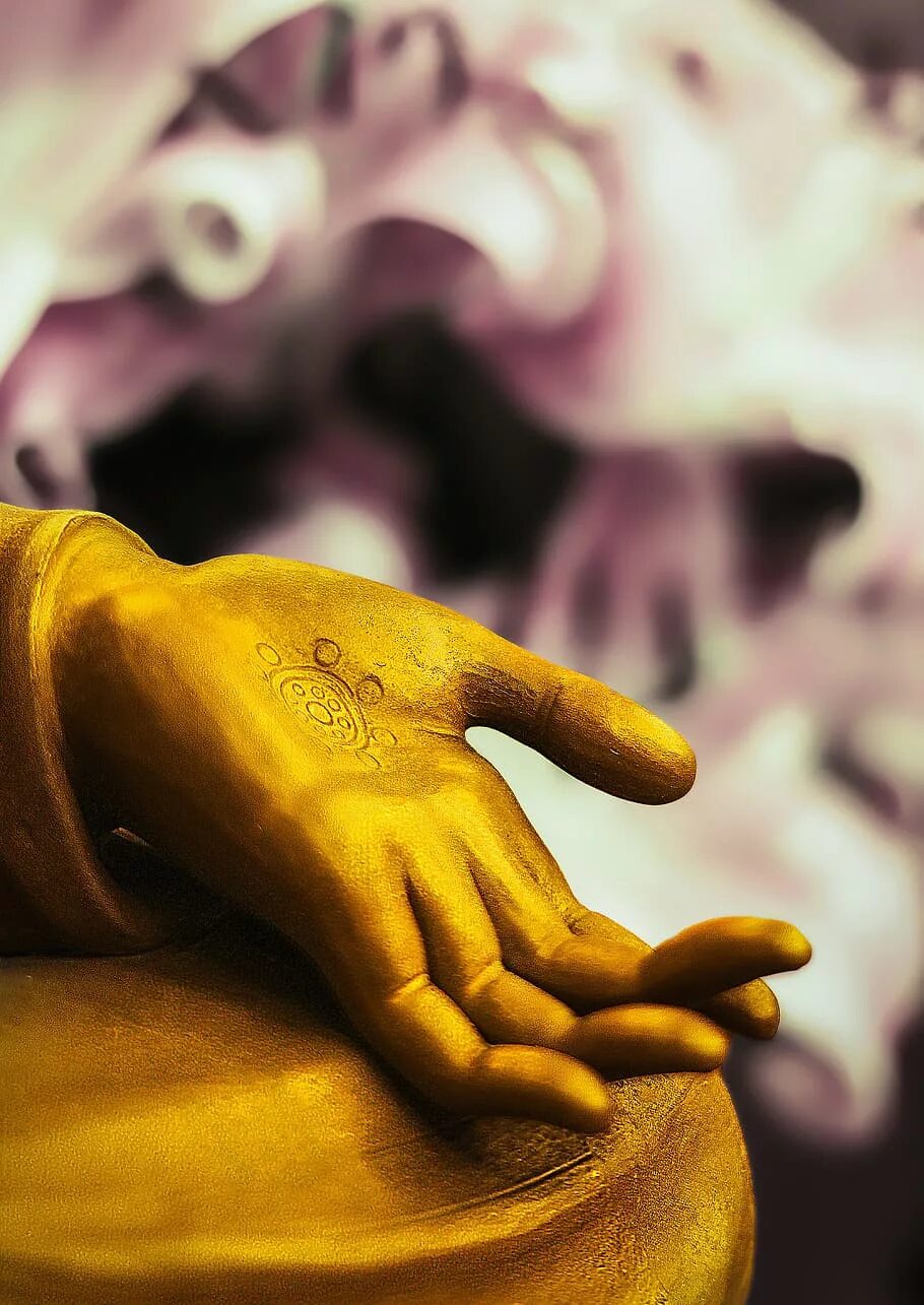 Мудры будды. Ладонь Будды. Ладонь буддизм. Пальцы Будды.