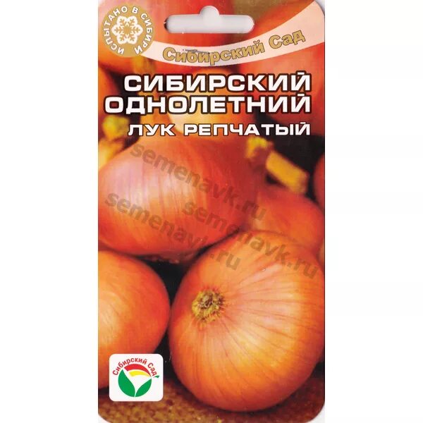 Лук севок сибирский однолетний. Сибирский однолетний лук описание сорта. Сибирский сад сибирский однолетний лук. Лук сибирский однолетний описание. Лук репчатый однолетний сибирский выращивание из семян.