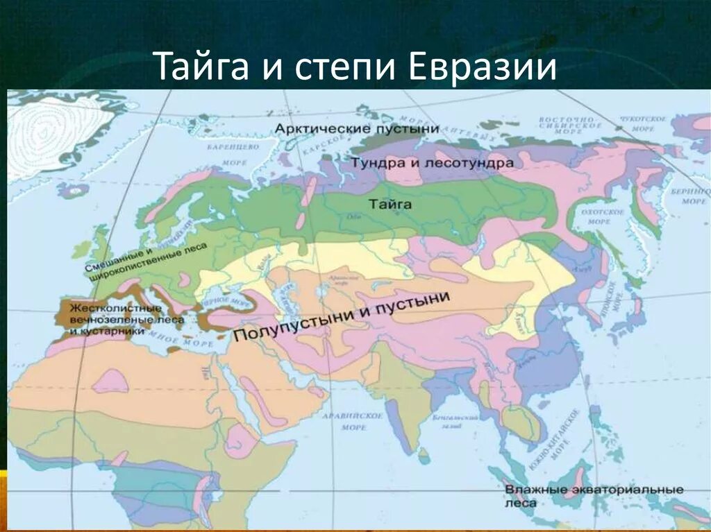 Какими линиями пересекается евразия. Природные зоны Евразии субтропики пояса. Карта природных зон климатических поясов Евразии. Зоны арктического пояса природные зоны Евразии. Карта природные зоны Евразии 7 класс география.