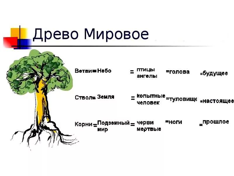 Деревья символы государств. Мировое Древо в различных культурах. Части дерева. Основные части мирового древа. Имена обозначающие дерево