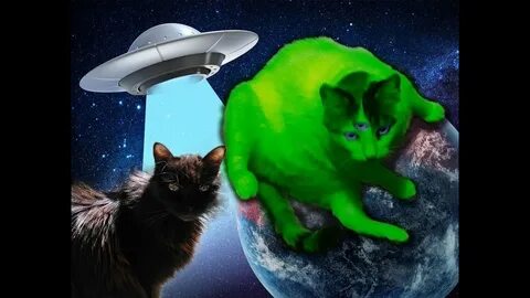 Green alien cat