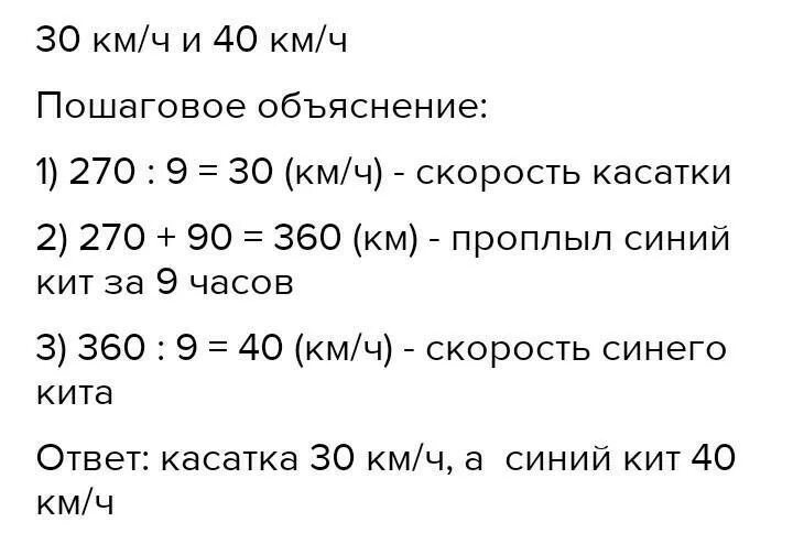 Сколько ударов совершает сердце