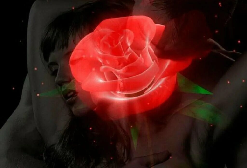 Поцелуй розы. Женщина с розами. Цветы любовь страсть. Очень красивые гифки.