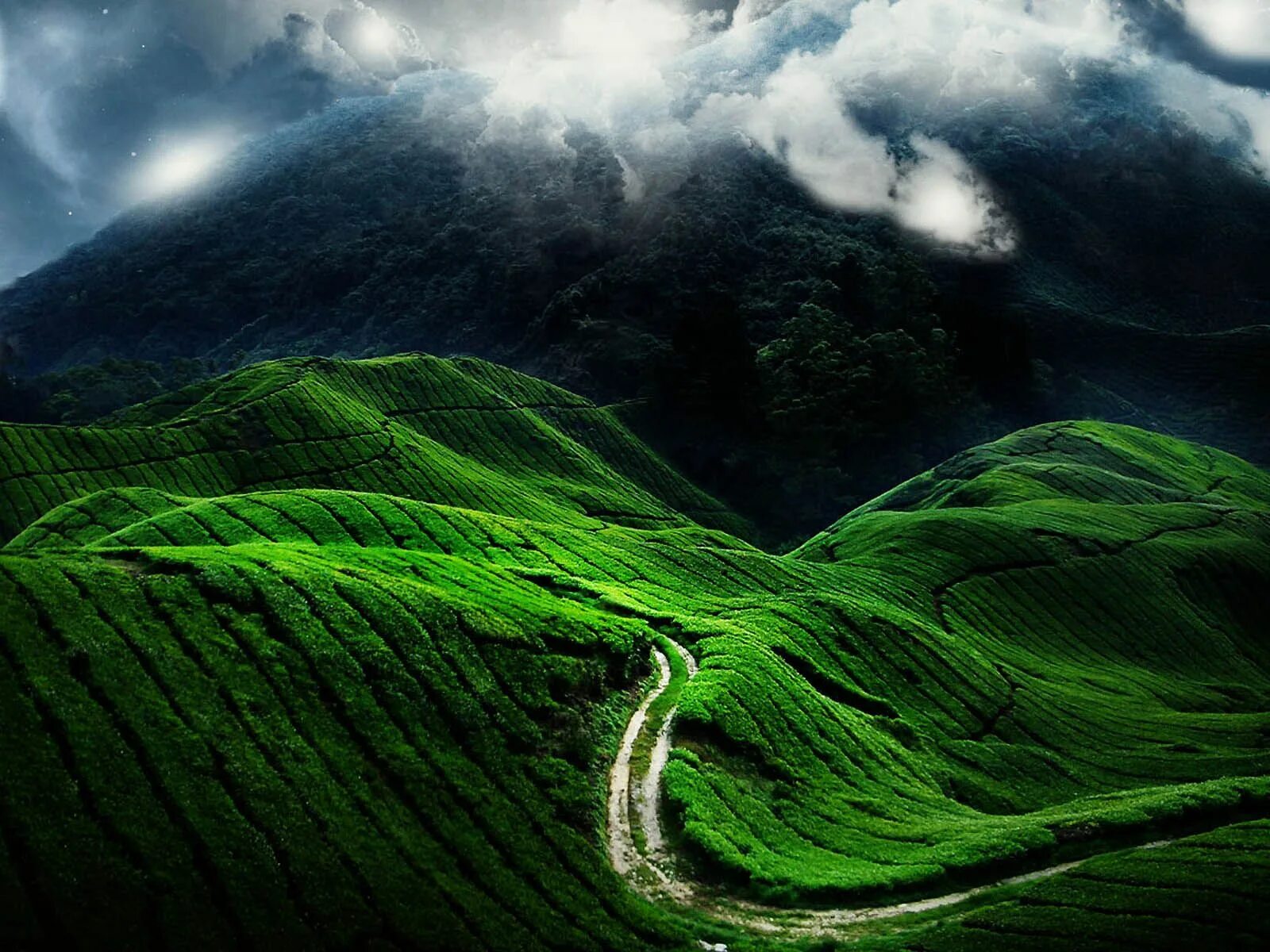 4khd. Green Hills зеленые холмы Ирландии. Грин Маунтин гора. Зеленый пейзаж. Красивые зеленые горы.