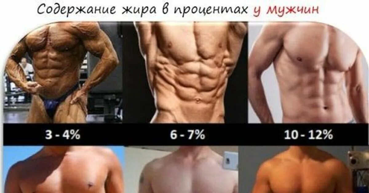 Процент подкожного жира у женщин. Процент жира. Процент жира. Процент жира у мужчин. 4 жира в организме.