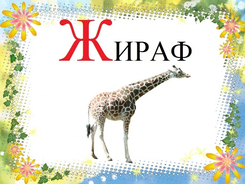 Чтение с буквой ш. Звук ж буква ж. Слова на ж 4 буквы. Слова на ж 4 буквы. Слова на букву ж.