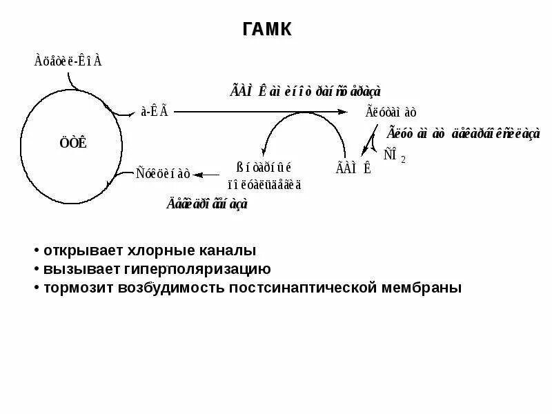 Ингибиторы гамк. Гамк шунт биохимия. синтез гамк. синтез гамк биохимия. образование гамк биохимия.