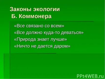 Все связано со всем экология примеры