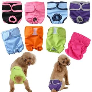 Pet shorts