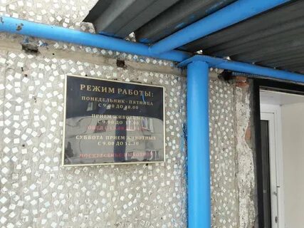 Режим работы животных