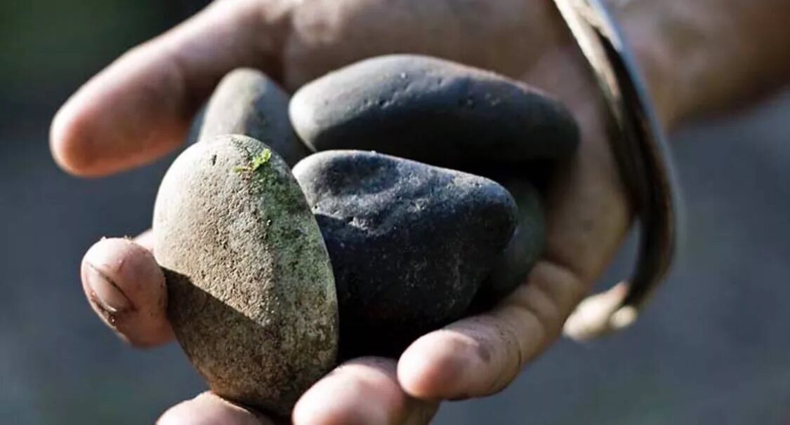 Day stone. Каменный хлеб. Хлеб на Камне. Хлебный булыжник. Камень вместо хлеба.