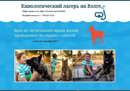 Кинологические лагеря