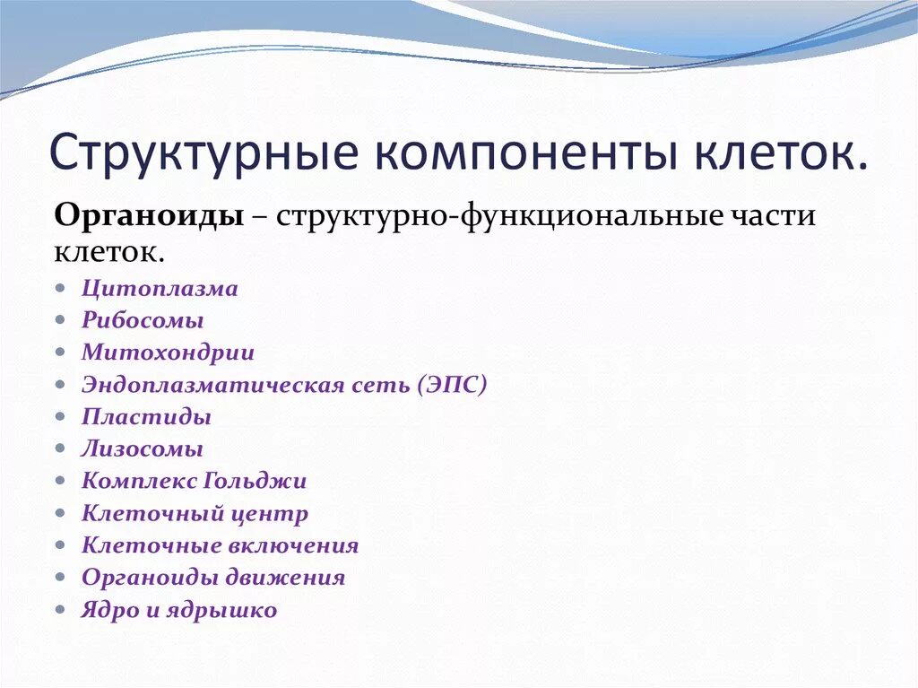 Основные компоненты клетки. Перечислите основные компоненты клетки.. Основные элементы клетки. Основные структурные элементы клетки. Составляющие любой клетки