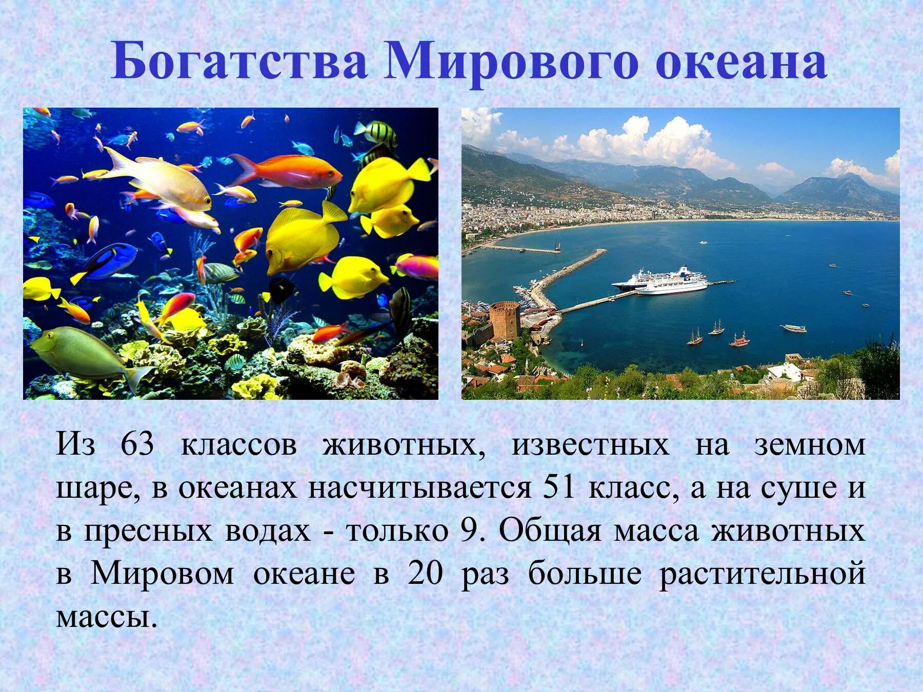 Сколько времени океана. Проект на тему мировой океан. Богатства океана. Богатство моря. Богатства морей и океана.