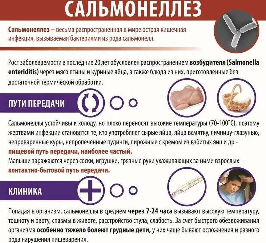 Каким образом чаще происходит сальмонеллез