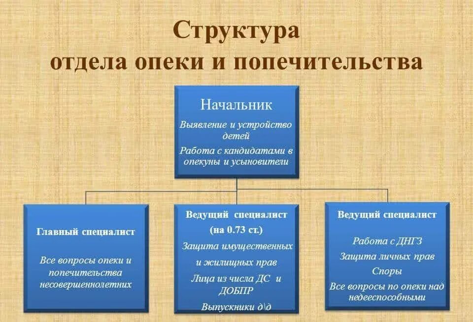 Характеристика опек и попечительства. Структура органов опеки и попечительства (иерархия). Структура органов опеки в РФ. Структура организации опеки и попечительства. Схема работы органов опеки.