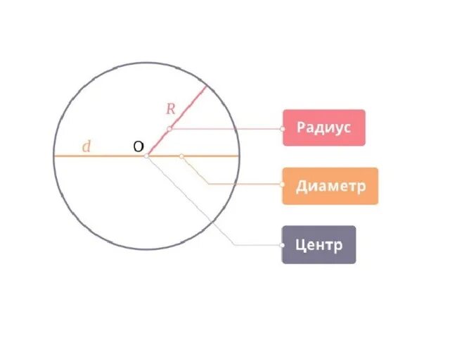 Круг окружность центр радиус диаметр 3 класс. Центр радиус диаметр. Окружность центр радиус диаметр. Радиус диаметр круга 6 класс. Все четыре круга одного размера диаметр радиус