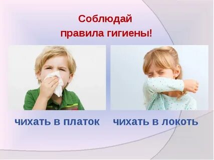 Почему здоровые люди чихают