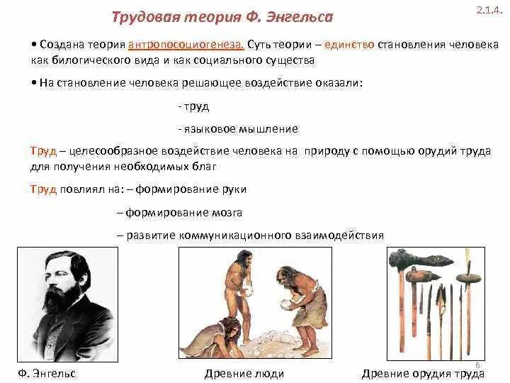 Трудовая гипотеза. Трудовая теория антропогенеза ф Энгельса. Трудовая теория Фридриха Энгельса. Б Ф Поршнев теория антропосоциогенеза. Теория Энгельса о происхождении.