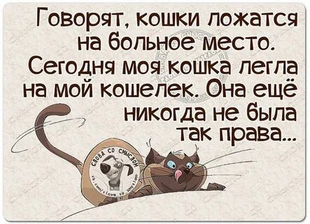 Ложись на место