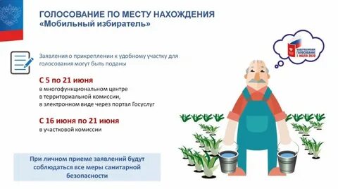 Когда можно проголосовать