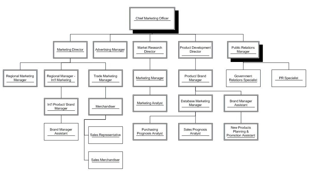 Должности в отделе маркетинга. Отдел маркетинга структура должности схема. Организационная структура отдела продаж схема предприятия. Схема организационной структуры директоров маркетинга. Организационная схема структуры компании Nestle.