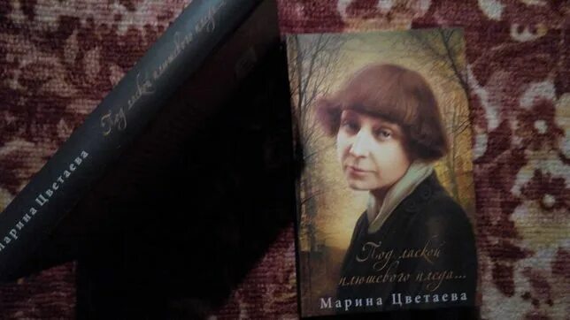 Под пледом цветаева. Под маской плюшевого пледа цветаева. Цветаева под лаской плюшевого. Под лаской плюшевого пледа текст стихи цветаевой. Стих под лаской плюшевого пледа.