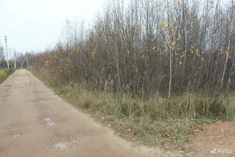 Снт утро московская область