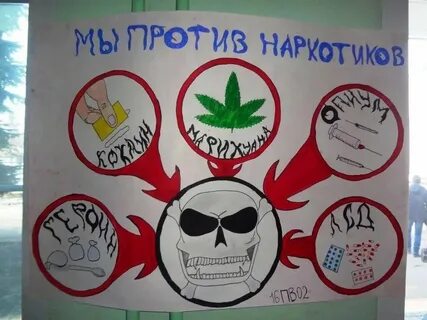 Здоровый образ жизни антинаркотический