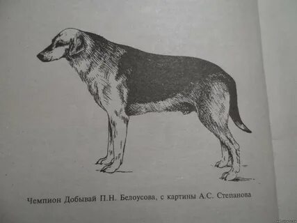 Месть гончей 63