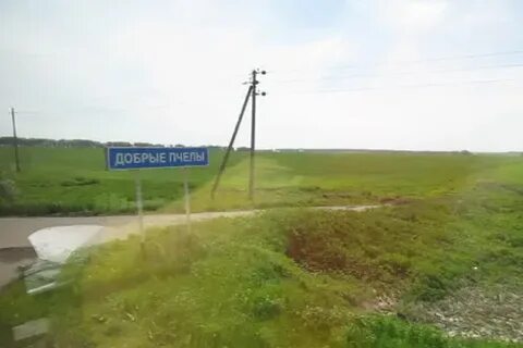 Добрые пчелы рязанская область