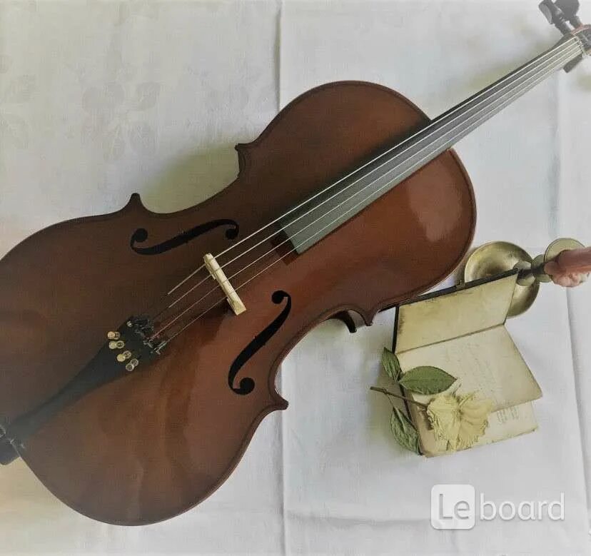 Плуталова виктора виолончель. Маргарита энгель виолончель. Виолончель струнал. Бурлевич екатерина виолончель. Преподаватель виолончели.