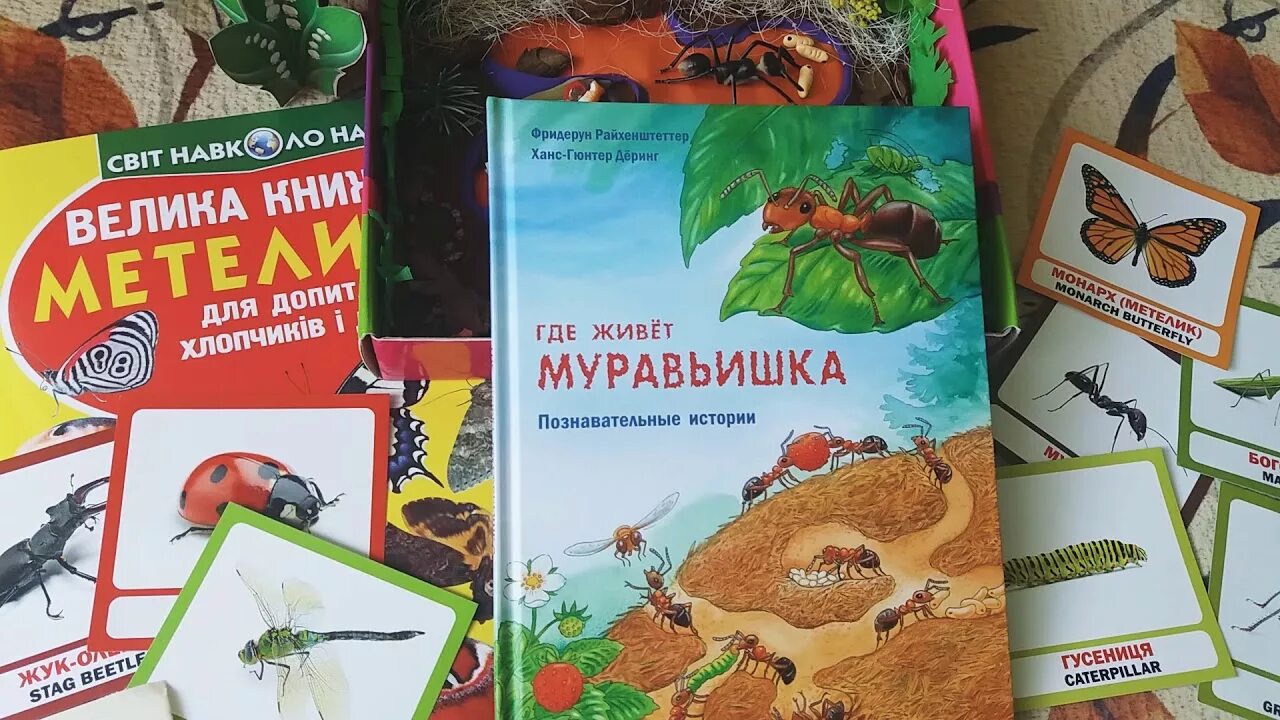 Книга про муравья. Книги о муравьях для детей. Книга про муравьев. Муравей с книжкой. Детская книжка про муравьев.