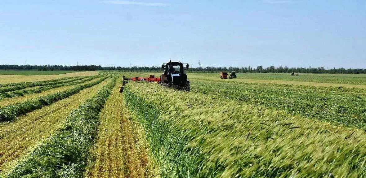 Лесополосы краснодарский край минсельхоз. 630 гектаров. Участок земли сельхозназначения. Земля сельскохозяйственного назначения краснодарский край. Земля сельскохозяйственного назначения краснодарский край.