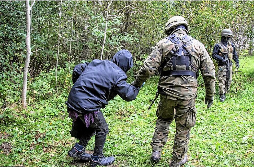 вырвать граница. пограничный столб карикатура. табличка охраняю домик сей от непрошенных гостей. вынос точек. вырвать граница.