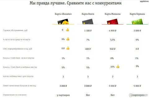 Годовое обслуживание